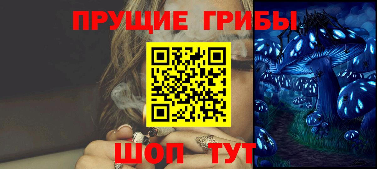 Галлюциногенные грибы Psilocybe  Вход с VPN  Электрогорск 