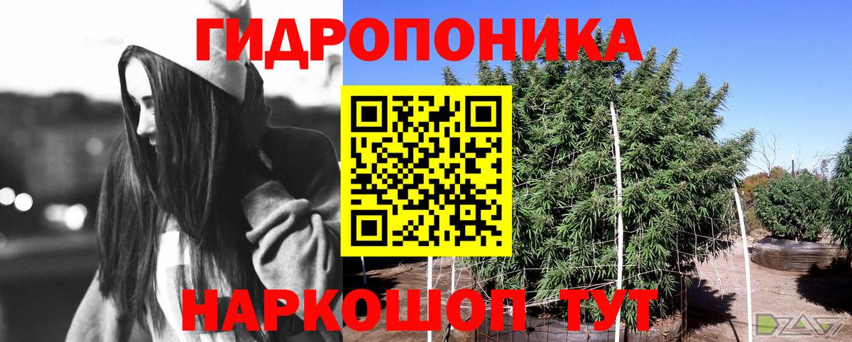 Канабис семена Электрогорск